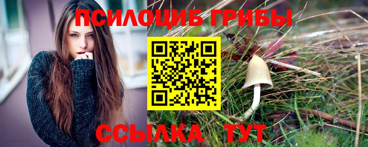 наркотики  Вход с VPN  Псилоцибиновые грибы прущие грибы  Южноуральск  Псилоцибиновые грибы Psilocybine cubensis 